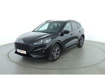 2.0 tdci ecoblue