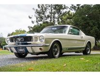 1965 ford mustang 289 fastback - shelby gt350 tribute