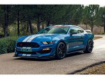 2019 ford shelby mustang gt350r