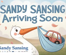 CHEVROLET AVALANCHE 1500 USED 2004 CHEVROLET AVALANCHE 1500