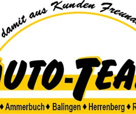 PLUG-IN-HYBRID 1.6 DI AUTOMATIK EDITION