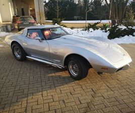 CORVETTE C3 CABRIO CHEVROLET CORVETTE 1979 CAMPINA