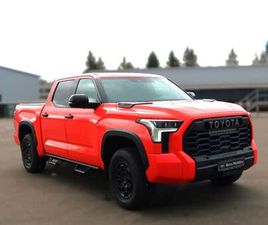 TOYOTA TUNDRA TOYOTA TUNDRA TRD PRO LADERAUMABDECKUNG