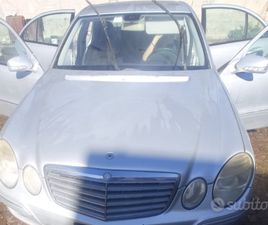 MERCEDES CLASSE E E 220 PIANTE DI YUCCA