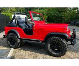 JEEP CJ5 JEEP CJ-5 V8 5,9 AMC 360
