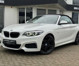 BMW 2-SERIE CABRIO - 218I HIGH EXECUTIVE M SPORT PAKKET, LEDER, 18