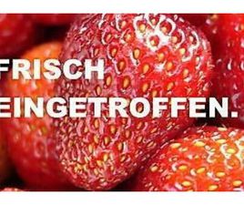 DODGE CALIBER DODGE CALIBER 1.8 SE KLIMA ALUFELGEN