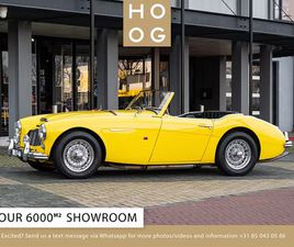 AUSTIN HEALEY 100-6 AUSTIN-HEALEY-1006