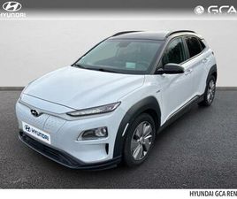 ELECTRIC 64KWH - 204CH EXECUTIVE