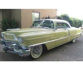 COUPE ZEER MOOIE STAAT