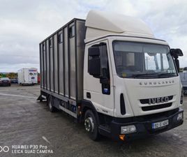 IVECO EUROCARGO, HORSE OR CATTLE TRUCK.