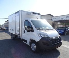 MOVANO 1ª SERIE CELLA ISOTERMICA -20° CON PARATIA MOBILE FRCX