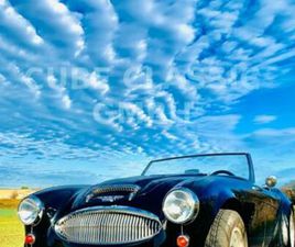 AUSTIN HEALEY CHEVY HEALEY 327 MK II