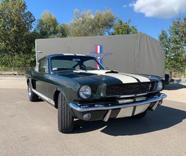 MUSTANG SHELBY GT350