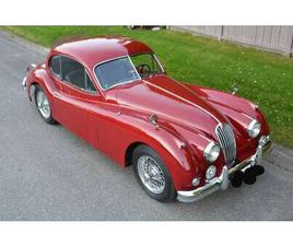 JAGUAR XK XK140 COUPE - XK140 - TOP ZUSTAND