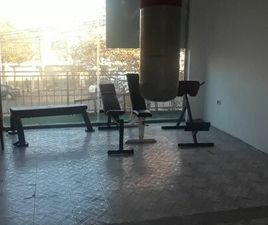 SHITEN OKAZION PALESTER