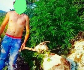 ASTON MARTIN DB9 DHI RACE E RITUR N LAZARATI ...KONSUMON SHUM