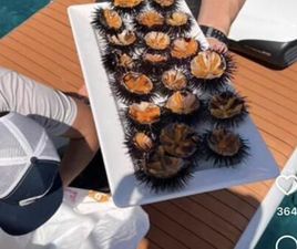 DODGE NITRO SHITET DOOGE NE GJENDJE SHUM TE MIR