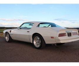 PONTIAC TRANS AM 455-HO COUPE 7,5 L|H-ZUL|SELTENHEIT