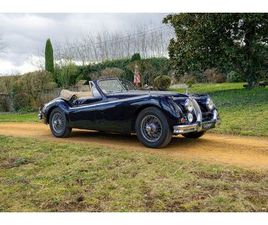 JAGUAR XK140 DHC 1955