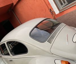VOLKSWAGEN BEETLE MAGGIOLINO VOLKSWAGEN