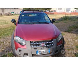 STALLONE HAFLINGER 36 MESI