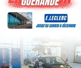 EXPO [URL MASQUÉE POUR VOTRE SÉCURITÉ] DE GUERANDE - VOITURE SANS PERMIS - AIXAM