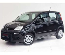 4X2 FIREFLY HYBRID 70 PANDINA