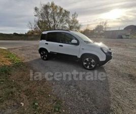 III (3) 1.0 70 HYBRIDE BSG S/S PANDINA