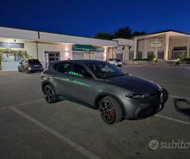 ALFA ROMEO TONALE Q4 JACK RUSSEL TERRIER DISPONIBILE DA NOVEMBRE