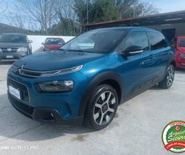 C4 CACTUS BLUEHDI 100 SHINE