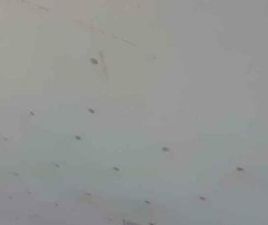 FORD GALAXY FORD - GALAXY