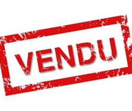 KIA EV3 81,4 KWH BUSINESS PLUS