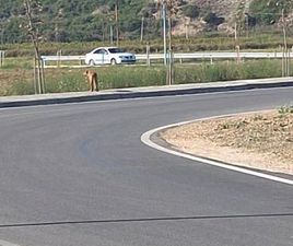 NISSAN ALMERA 1.5 BENZIN-GAZ IMPJANTI LEVATO I BERE NE ITALI