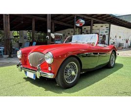 AUSTIN HEALEY 100 AUSTIN HEALEY 100 BN1 - 1954