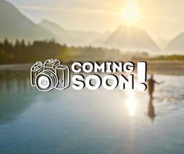 USED 2012 ASTON MARTIN RAPIDE