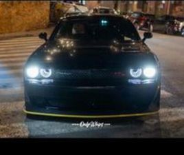 DODGE CHALLENGER DODGE - CHALLENGER