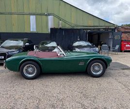 AC COBRA REPLICA HAWK AC COBRA HAWK 289