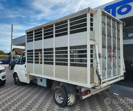 FORD TRANSIT FORD TRANSIT 2.5 DIESEL TRASPORTO ANIMALI VIVI - B