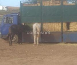 IVECO DAILY IVECO DAILY