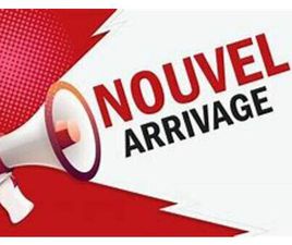 EX LUXE FAMILIALE 4 PORTES BA