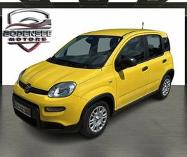 FIAT PANDA PANDINA