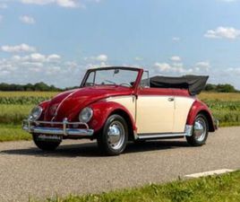 VOLKSWAGEN KARMANN CABRIOLET VOLKSWAGEN KEVER KARMANN CABRIOLET 1/15 1958 (BJ 1958) — OLDTIMERS — MARKTPLAATS