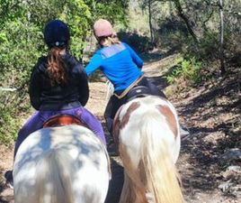 LOTUS EXIGE LOTUS EXIGE