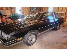 PONTIAC GRAND PRIX 1981 PONTIAC GRAND PRIX