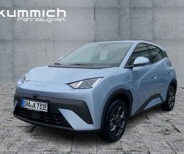 BYD DOLPHIN SURF BOOST