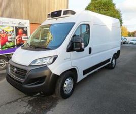② FIAT DUCATO FRIGO 21500€ HTVA — FIAT — 2EMEMAIN