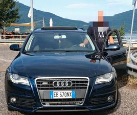 AUDI A4 MONTA SCOTTISH FOLD BLU