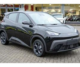 BYD DOLPHIN SURF BOOST