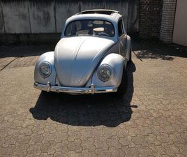 VW KÄFER BREZEL DICKHOLMER (ZWITTER) ANGEMELDET